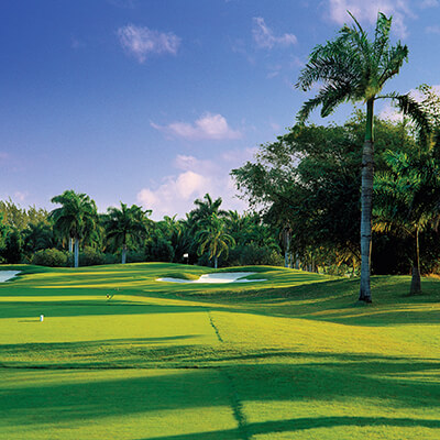 Hole 7 par 3 with palm trees