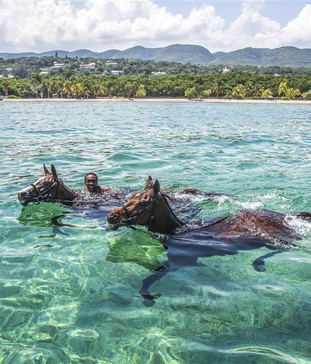 The Half Moon Experience