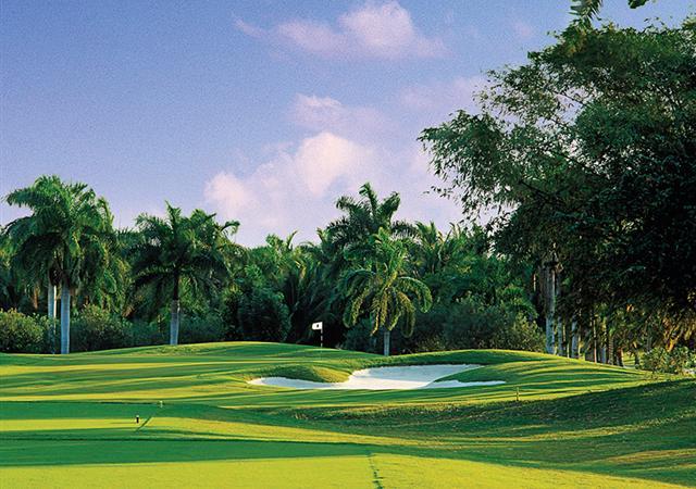 A view of the golf course