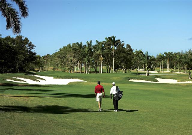 A pair of golfers