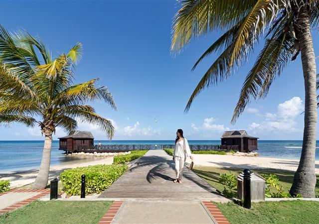 Woman walking along paved path with palm trees