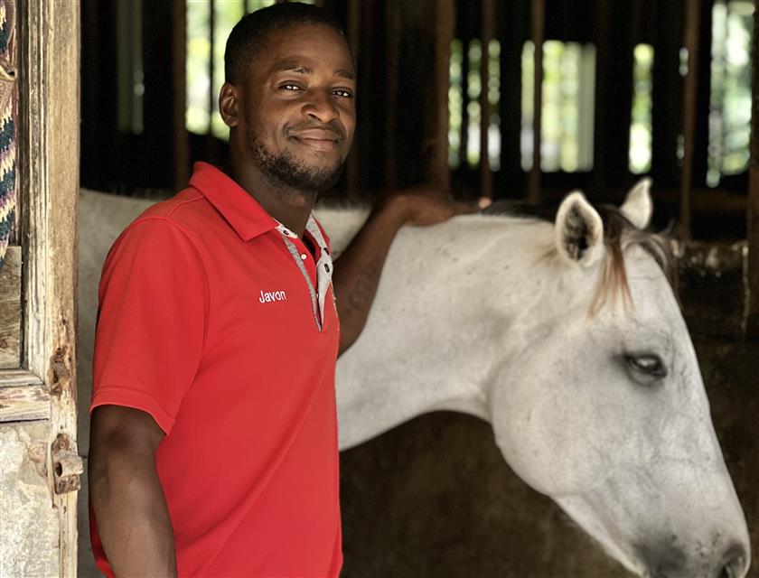 Equestrian service professinal