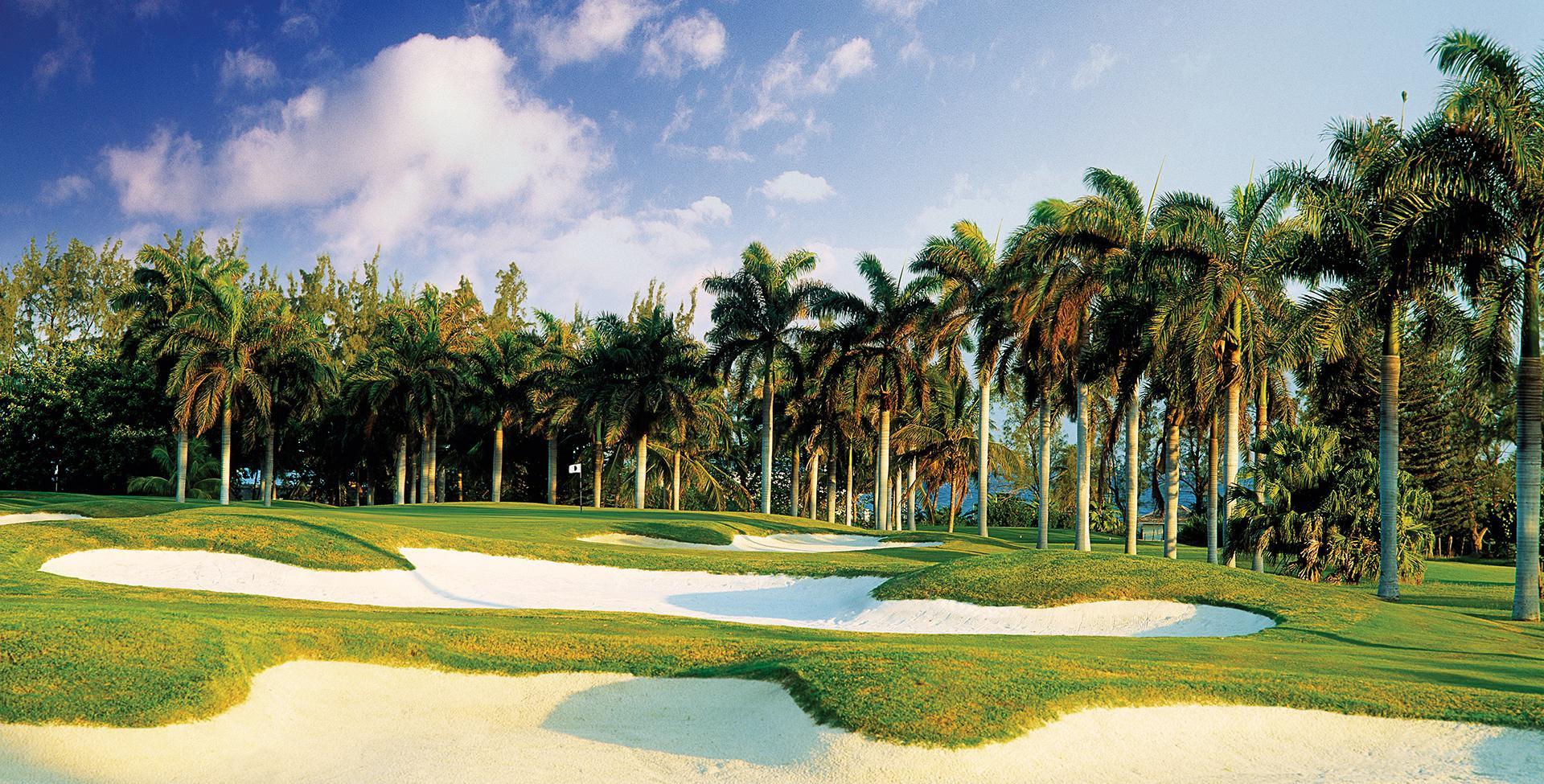 A golf course with sand bunkers and palm trees