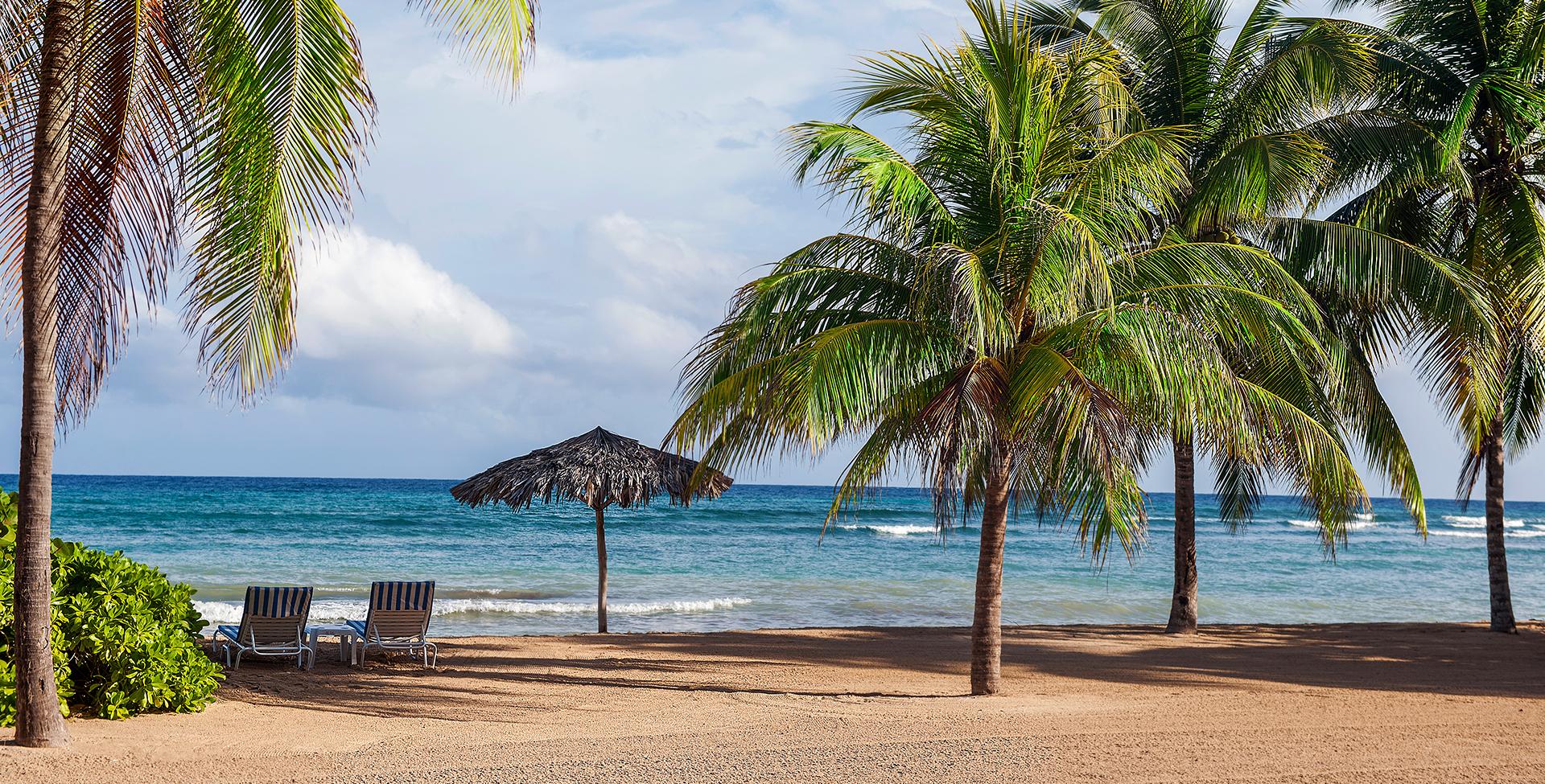 a beach with palm trees and umbrellas