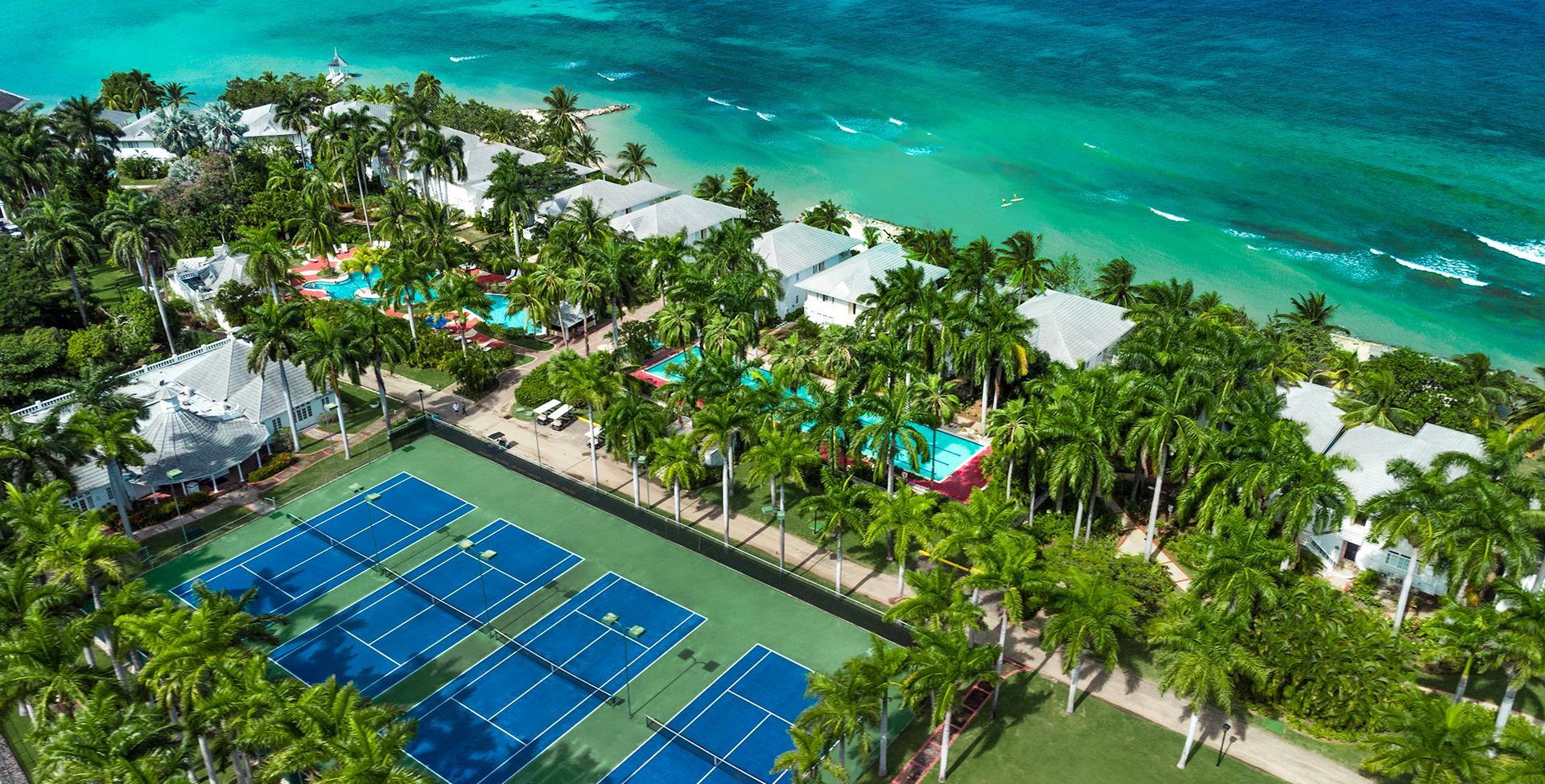 A swimming pool and palm trees by the ocean