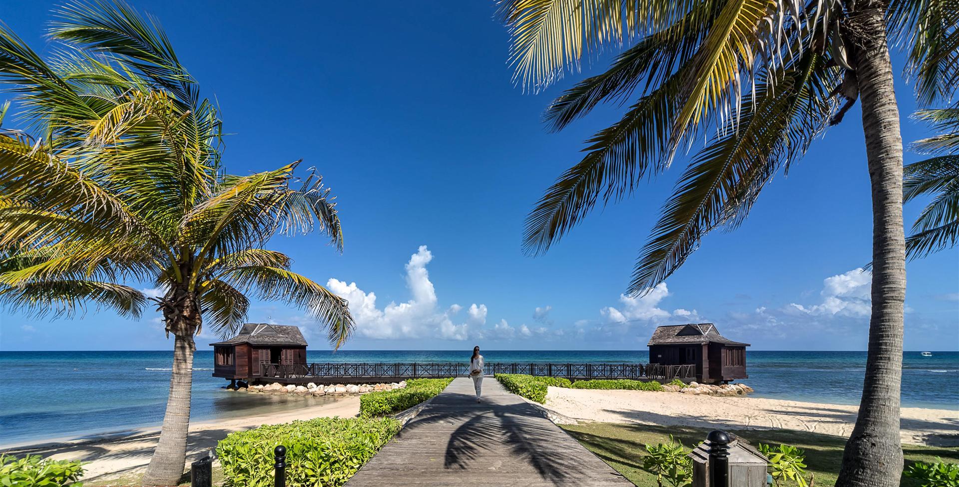 a path with palm trees and a body of water