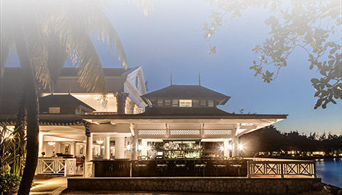 a building with a bar and a palm tree