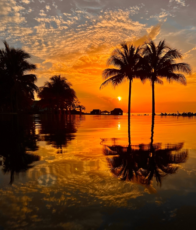 A dock over water with palm trees and a beach and a sunset